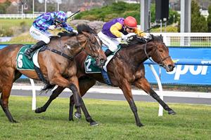 O'BRIEN PRAISES SHINN